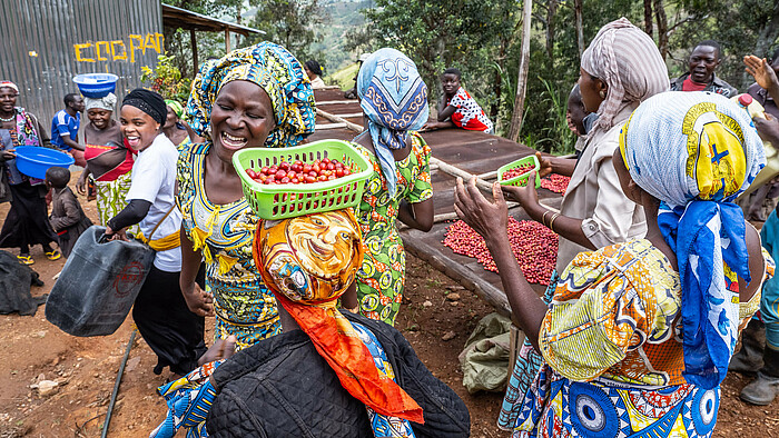 Projekt Kaffee in DR Kongo: Virunga Nationalpark