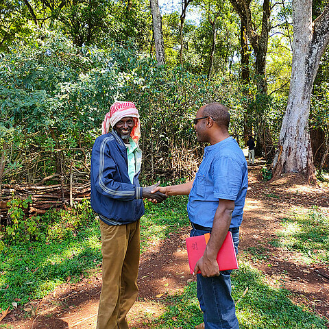 Ethiopian Forest Coffee