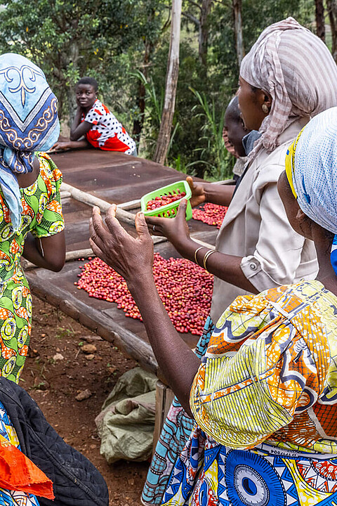 Virunga National Park Coffees